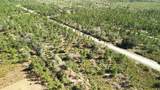 0 Portulaca Dr - Photo 75