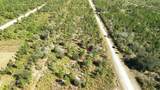 0 Portulaca Dr - Photo 79