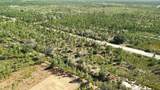 0 Portulaca Dr - Photo 9