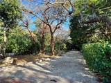 20 Avacado St - Photo 11