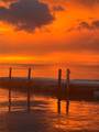 20 Avacado St - Photo 6