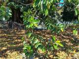801 Biscayne River Dr - Photo 46