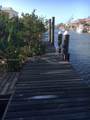 227 Sombrero Beach Rd - Photo 17