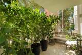 1005 8th St - Photo 22