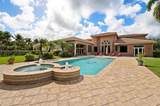 12821 Kapok Ln - Photo 51