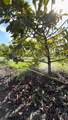 16455 207 - Photo 2