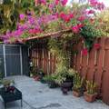 3815 Coco Loba Ln - Photo 19