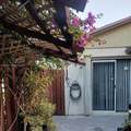3815 Coco Loba Ln - Photo 20