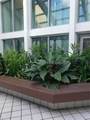 11800 18th St - Photo 3