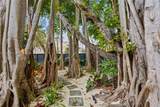 4002 Kumquat Ave - Photo 18