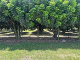 206XX 344 ST - Photo 6