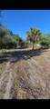  466 Hunting Club Ave - Photo 4
