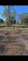  466 Hunting Club Ave - Photo 5