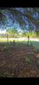  466 Hunting Club Ave - Photo 6