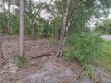 845 Appaloosa Avenue - Photo 12