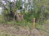 845 Appaloosa Avenue - Photo 3