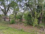 845 Appaloosa Avenue - Photo 4