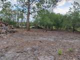 845 Appaloosa Avenue - Photo 7