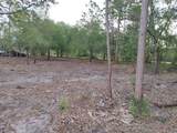 845 Appaloosa Avenue - Photo 8