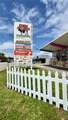  Farm Store Coral Gables - Photo 4
