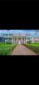 1900 Alamanda - Photo 1
