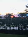 10275 Collins Ave - Photo 15