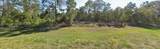 541 Carousel Lane - Photo 7