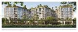 2835 Tigertail - Photo 5