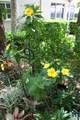6200 74th Ct - Photo 26
