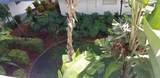 1801 Treasure Dr - Photo 23