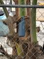 1453 3rd St - Photo 8