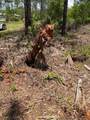 117 Lodge Pole Cir - Photo 2