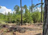 117 Lodge Pole Cir - Photo 5