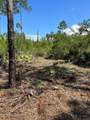 117 Lodge Pole Cir - Photo 6