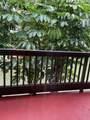 526 113th Way - Photo 12