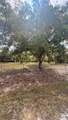 465 Estribo St - Photo 3