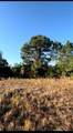 360 Quebrada St - Photo 5