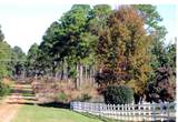 Lot 59 Magnolia Plantation - Photo 4