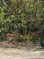 Lot 27 Dorn Road - Photo 7