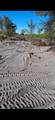 4005 15th St - Photo 2