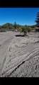 4005 15th St - Photo 5