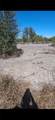 4005 15th St - Photo 6