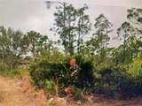 27183 Twin Lakes Dr - Photo 1