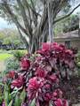 605 Oaks Dr - Photo 29