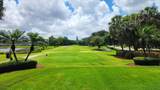 9501 Seagrape Dr - Photo 65