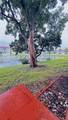 8961 Hollybrook Blvd - Photo 14