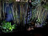 8351 124th Ave - Photo 40