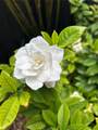 8351 124th Ave - Photo 41