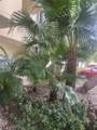 4550 9th St - Photo 32