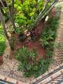 8400 133rd Ave Rd - Photo 21